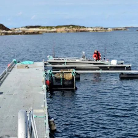 6 Person In Tatil Evi